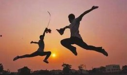 武术植物爆料视频,古老传承中的神秘力量