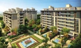 铜川绿城最新爆料,揭秘项目亮点与未来发展潜力